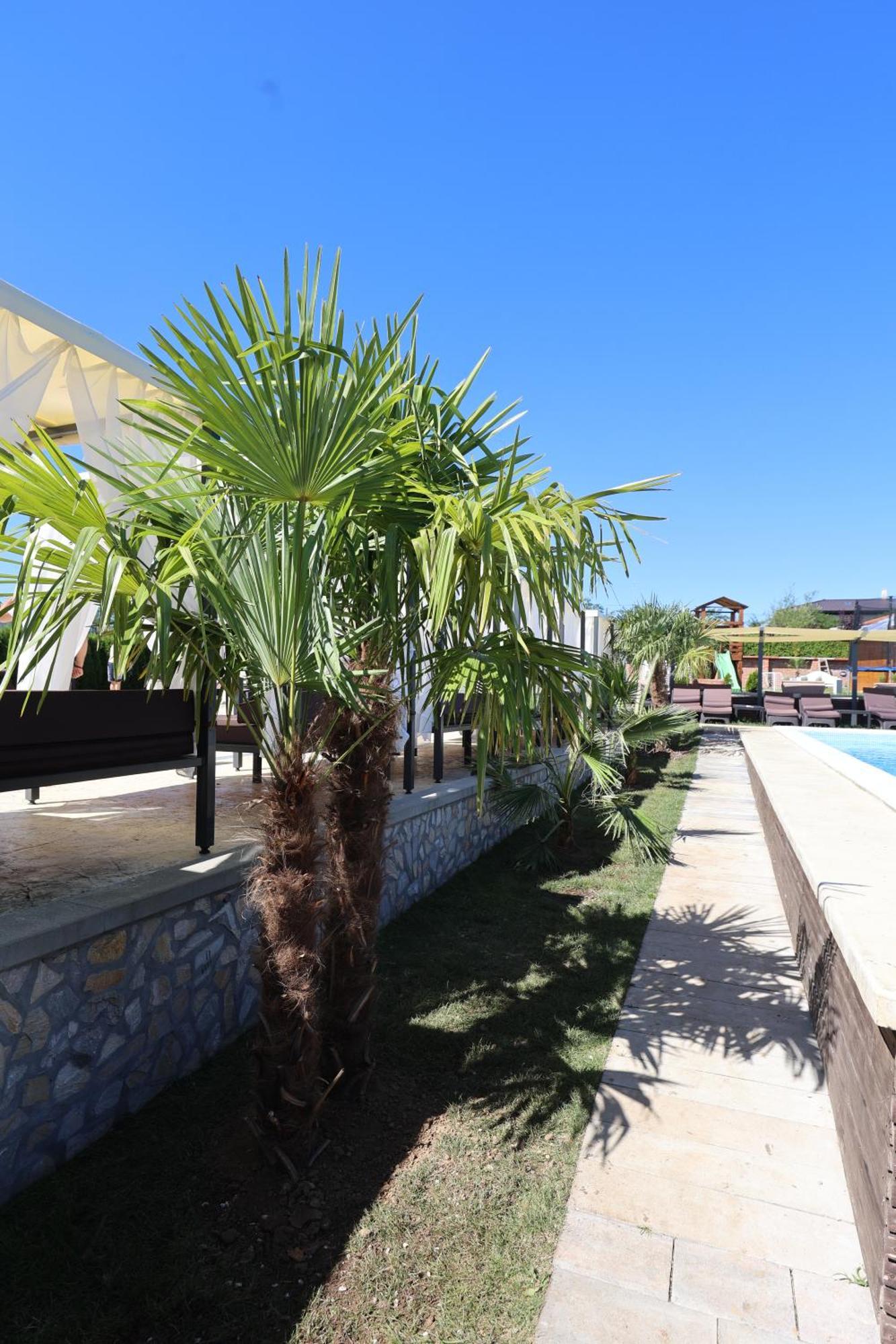 Alexander Resort Sopot Ngoại thất bức ảnh